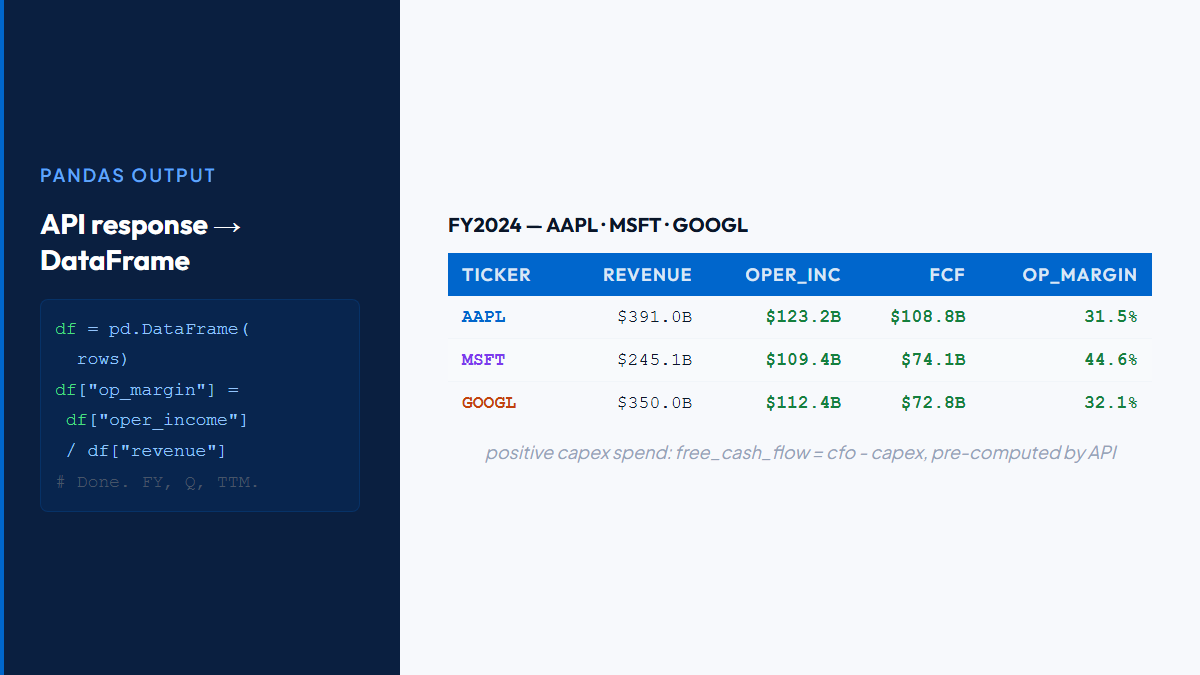 Multi-company pandas DataFrame with financial fundamentals